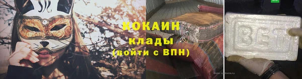 гашик Арсеньев