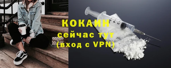 гашик Арсеньев