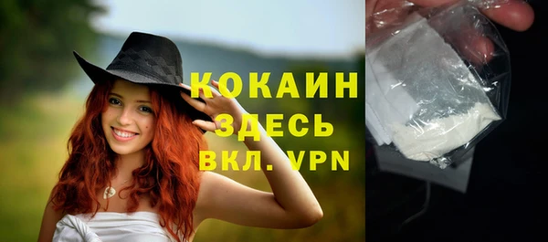 гашик Арсеньев