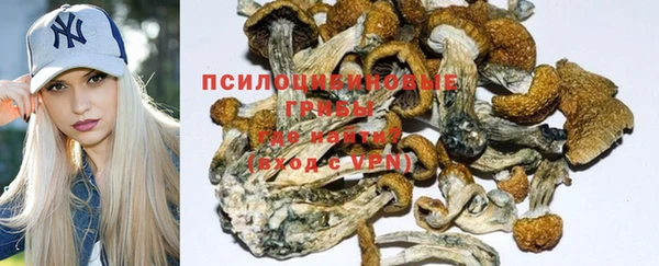 гашик Арсеньев